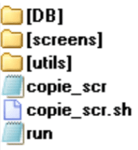 File structure - you need to copy ALL of them to SD.